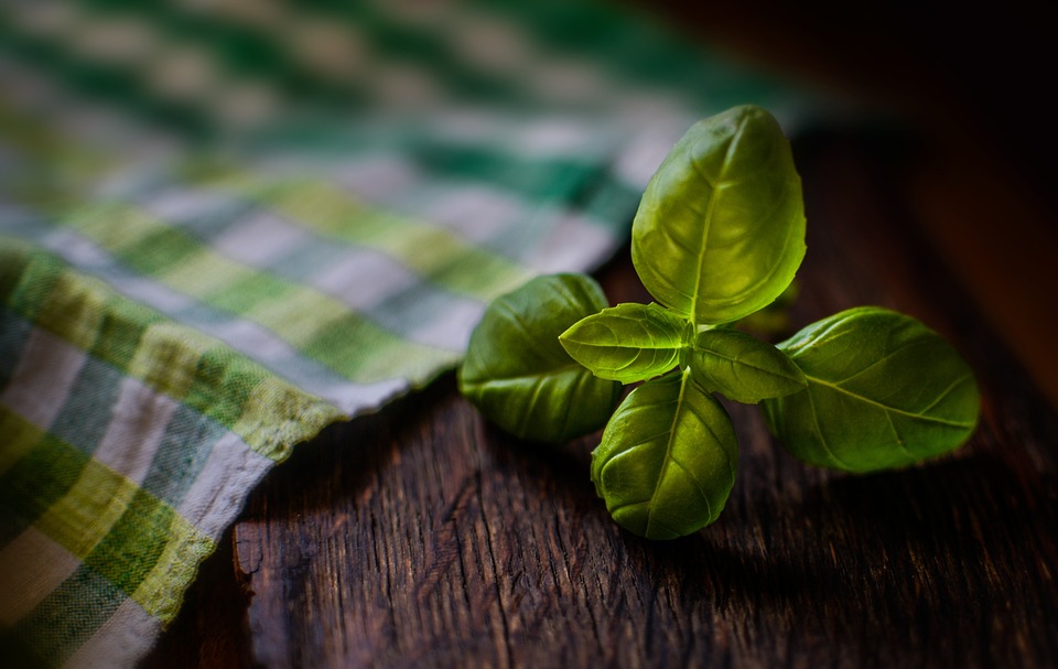 Elevate Your Cocktail Game with These Mojito Ingredients