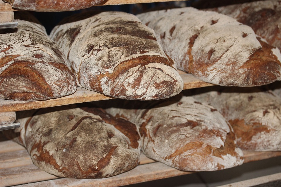 Bread Making 101: Simple Homemade Recipes Using Yeast